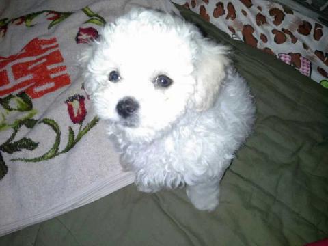 林美美201511的微博_微博