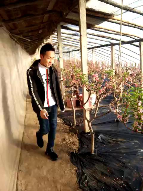 社会nl胜哥的微博