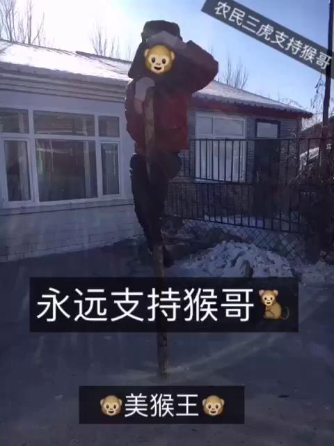 农民三虎的微博