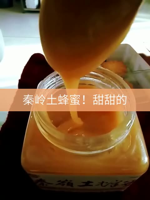 我发布了一个快手视频,一起来看! #陕西蜂. 来自