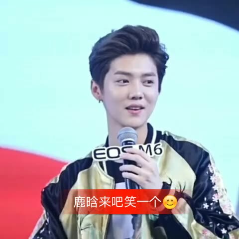 一起来看 王者荣耀 鹿晗 的快手视频! . 来自王桂