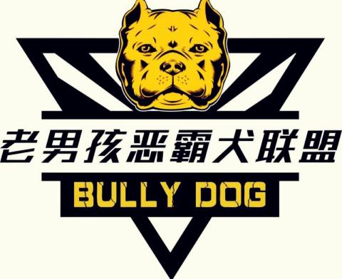 老男孩-大连石榴犬舍恶霸犬